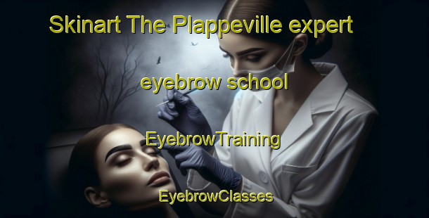 Skinart The Plappeville expert eyebrow school | EyebrowTraining | EyebrowClasses | SkinartTraining-France
