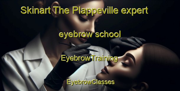 Skinart The Plappeville expert eyebrow school | EyebrowTraining | EyebrowClasses | SkinartTraining-France