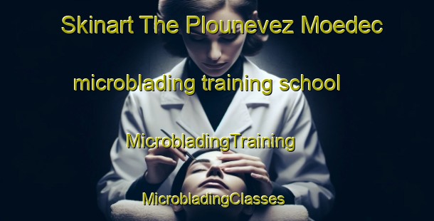 Skinart The Plounevez Moedec microblading training school | MicrobladingTraining | MicrobladingClasses | SkinartTraining-France