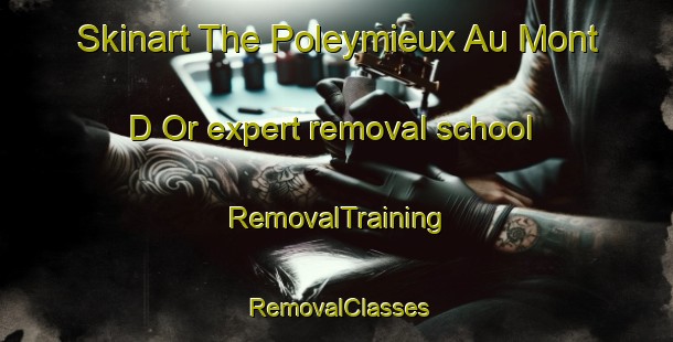 Skinart The Poleymieux Au Mont D Or expert removal school | RemovalTraining | RemovalClasses | SkinartTraining-France