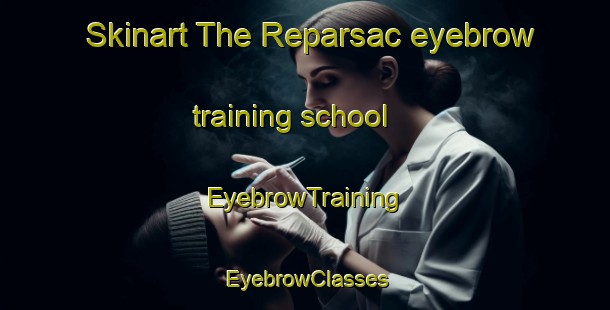 Skinart The Reparsac eyebrow training school | EyebrowTraining | EyebrowClasses | SkinartTraining-France