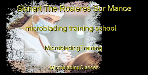 Skinart The Rosieres Sur Mance microblading training school | #MicrobladingTraining #MicrobladingClasses #SkinartTraining-France