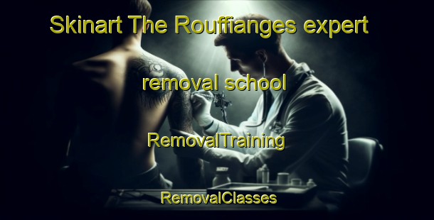 Skinart The Rouffianges expert removal school | RemovalTraining | RemovalClasses | SkinartTraining-France