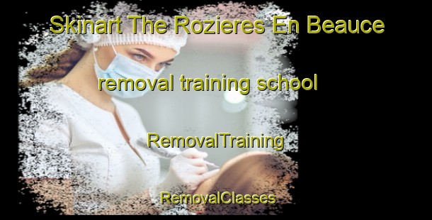 Skinart The Rozieres En Beauce removal training school | RemovalTraining | RemovalClasses | SkinartTraining-France