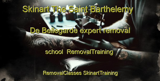 Skinart The Saint Barthelemy De Bellegarde expert removal school | #RemovalTraining #RemovalClasses #SkinartTraining-France