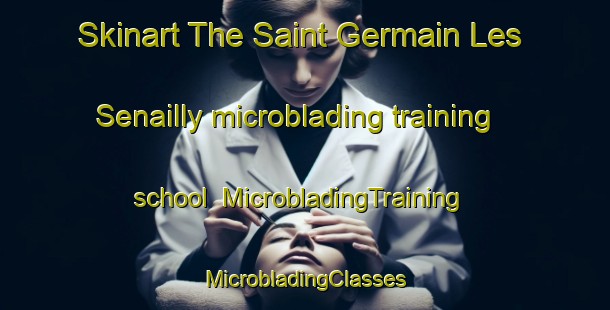 Skinart The Saint Germain Les Senailly microblading training school | #MicrobladingTraining #MicrobladingClasses #SkinartTraining-France