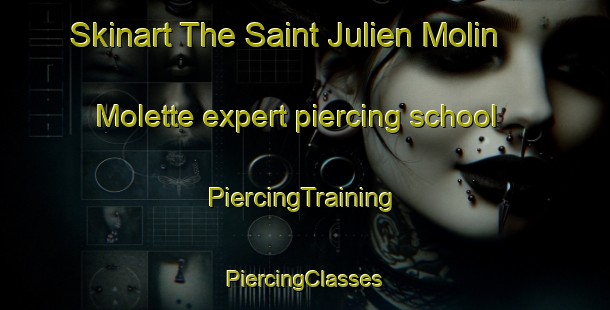 Skinart The Saint Julien Molin Molette expert piercing school | #PiercingTraining #PiercingClasses #SkinartTraining-France