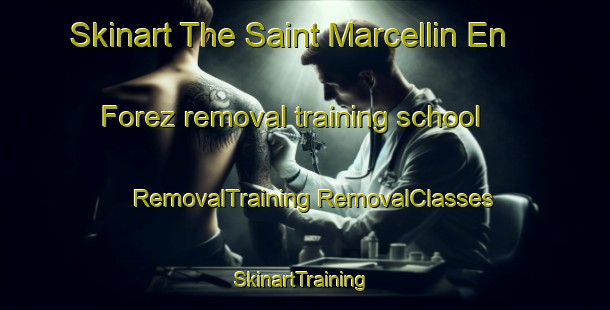 Skinart The Saint Marcellin En Forez removal training school | #RemovalTraining #RemovalClasses #SkinartTraining-France