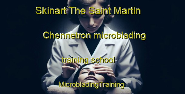 Skinart The Saint Martin Chennetron microblading training school | #MicrobladingTraining #MicrobladingClasses #SkinartTraining-France