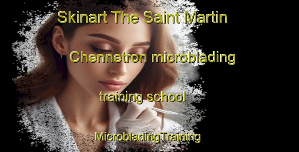 Skinart The Saint Martin Chennetron microblading training school | #MicrobladingTraining #MicrobladingClasses #SkinartTraining-France