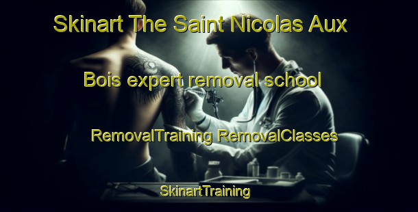 Skinart The Saint Nicolas Aux Bois expert removal school | #RemovalTraining #RemovalClasses #SkinartTraining-France