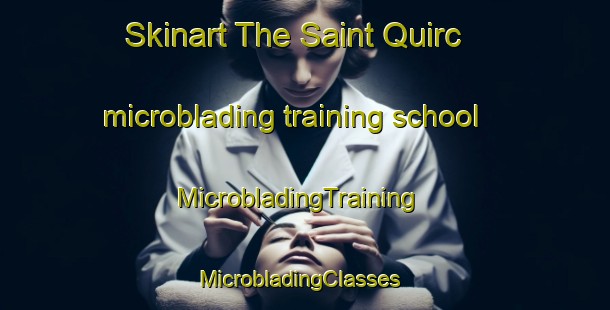 Skinart The Saint Quirc microblading training school | MicrobladingTraining | MicrobladingClasses | SkinartTraining-France