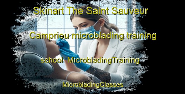 Skinart The Saint Sauveur Camprieu microblading training school | #MicrobladingTraining #MicrobladingClasses #SkinartTraining-France