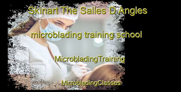 Skinart The Salles D Angles microblading training school | #MicrobladingTraining #MicrobladingClasses #SkinartTraining-France