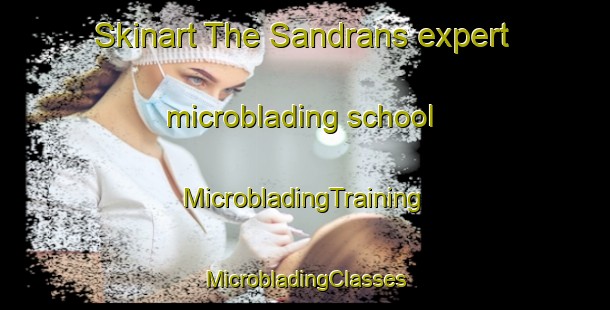 Skinart The Sandrans expert microblading school | #MicrobladingTraining #MicrobladingClasses #SkinartTraining-France