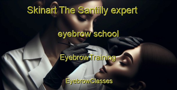 Skinart The Santilly expert eyebrow school | EyebrowTraining | EyebrowClasses | SkinartTraining-France