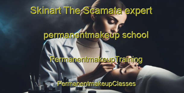 Skinart The Scamata expert permanentmakeup school | #PermanentmakeupTraining #PermanentmakeupClasses #SkinartTraining-France