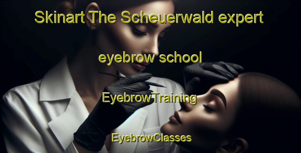 Skinart The Scheuerwald expert eyebrow school | EyebrowTraining | EyebrowClasses | SkinartTraining-France