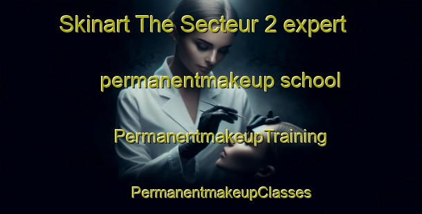 Skinart The Secteur 2 expert permanentmakeup school | #PermanentmakeupTraining #PermanentmakeupClasses #SkinartTraining-France