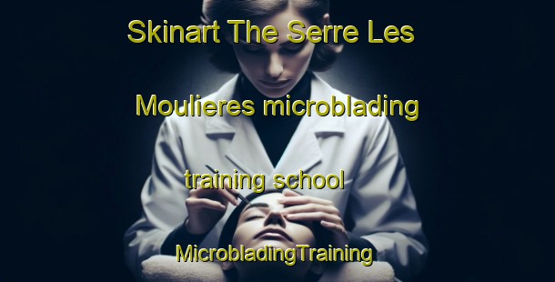 Skinart The Serre Les Moulieres microblading training school | #MicrobladingTraining #MicrobladingClasses #SkinartTraining-France