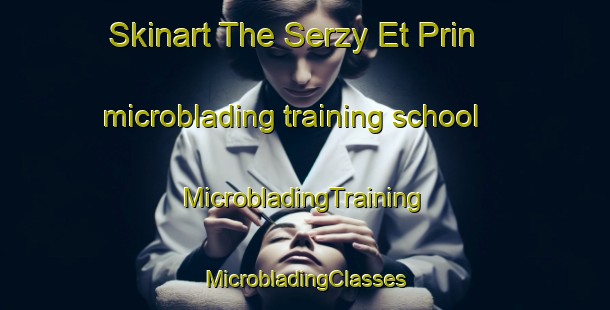 Skinart The Serzy Et Prin microblading training school | #MicrobladingTraining #MicrobladingClasses #SkinartTraining-France