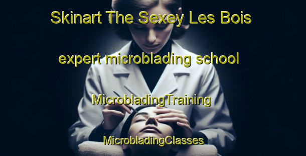 Skinart The Sexey Les Bois expert microblading school | #MicrobladingTraining #MicrobladingClasses #SkinartTraining-France