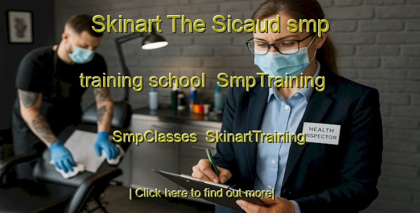 Skinart The Sicaud smp training school | SmpTraining | SmpClasses | SkinartTraining-France