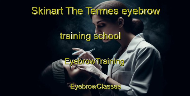 Skinart The Termes eyebrow training school | EyebrowTraining | EyebrowClasses | SkinartTraining-France