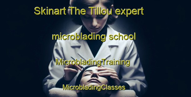 Skinart The Tillou expert microblading school | MicrobladingTraining | MicrobladingClasses | SkinartTraining-France