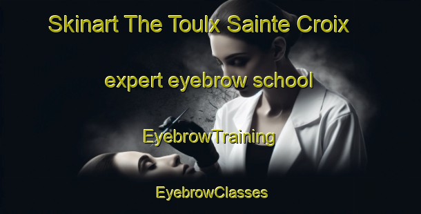Skinart The Toulx Sainte Croix expert eyebrow school | EyebrowTraining | EyebrowClasses | SkinartTraining-France