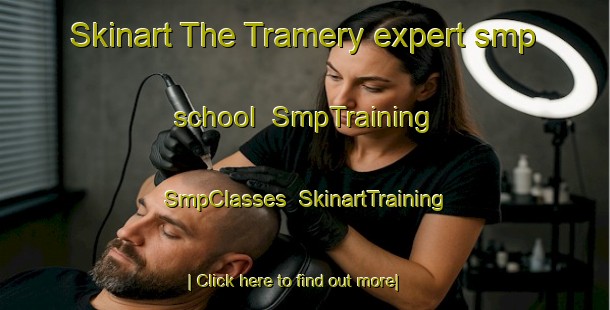 Skinart The Tramery expert smp school | SmpTraining | SmpClasses | SkinartTraining-France
