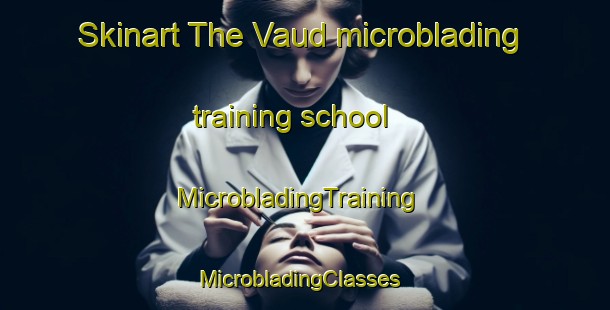 Skinart The Vaud microblading training school | MicrobladingTraining | MicrobladingClasses | SkinartTraining-France