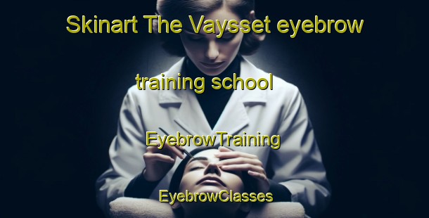 Skinart The Vaysset eyebrow training school | EyebrowTraining | EyebrowClasses | SkinartTraining-France