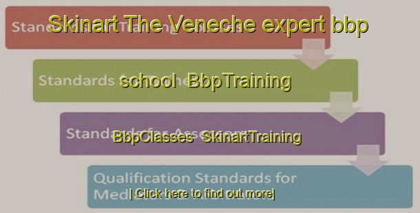 Skinart The Veneche expert bbp school | BbpTraining | BbpClasses | SkinartTraining-France