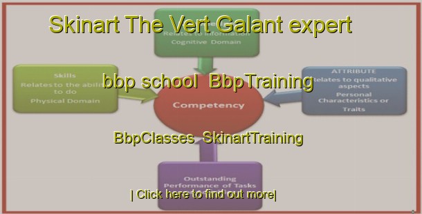 Skinart The Vert Galant expert bbp school | BbpTraining | BbpClasses | SkinartTraining-France