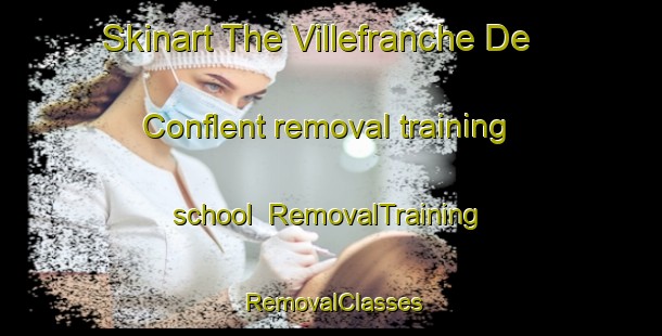 Skinart The Villefranche De Conflent removal training school | RemovalTraining | RemovalClasses | SkinartTraining-France