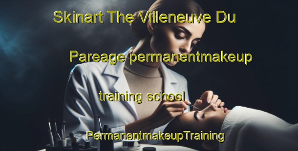 Skinart The Villeneuve Du Pareage permanentmakeup training school | #PermanentmakeupTraining #PermanentmakeupClasses #SkinartTraining-France