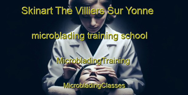 Skinart The Villiers Sur Yonne microblading training school | #MicrobladingTraining #MicrobladingClasses #SkinartTraining-France