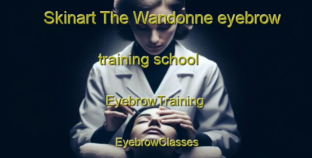 Skinart The Wandonne eyebrow training school | EyebrowTraining | EyebrowClasses | SkinartTraining-France
