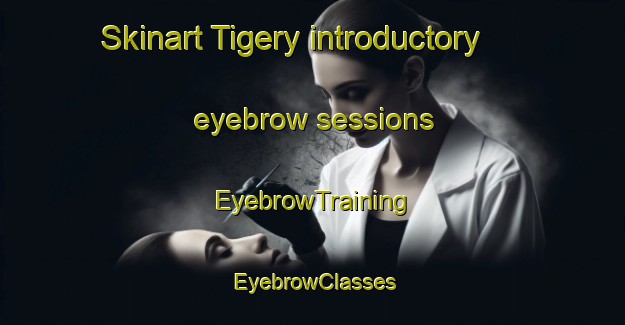 Skinart Tigery introductory eyebrow sessions | EyebrowTraining | EyebrowClasses | SkinartTraining-France