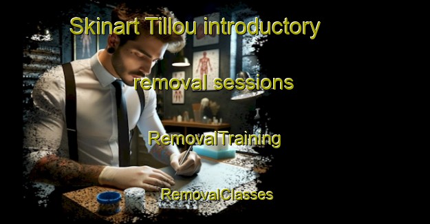 Skinart Tillou introductory removal sessions | RemovalTraining | RemovalClasses | SkinartTraining-France