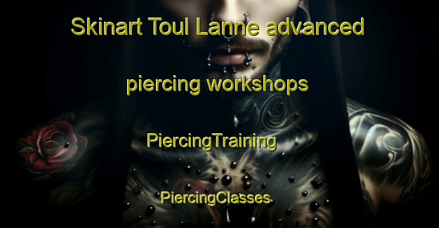 Skinart Toul Lanne advanced piercing workshops | PiercingTraining | PiercingClasses | SkinartTraining-France