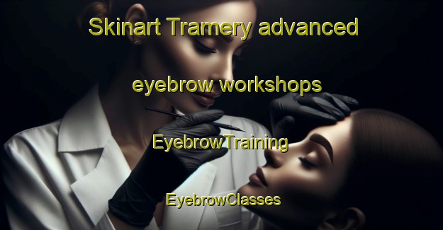 Skinart Tramery advanced eyebrow workshops | EyebrowTraining | EyebrowClasses | SkinartTraining-France