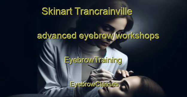 Skinart Trancrainville advanced eyebrow workshops | EyebrowTraining | EyebrowClasses | SkinartTraining-France