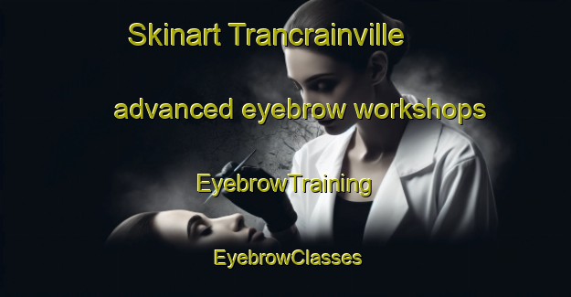 Skinart Trancrainville advanced eyebrow workshops | EyebrowTraining | EyebrowClasses | SkinartTraining-France