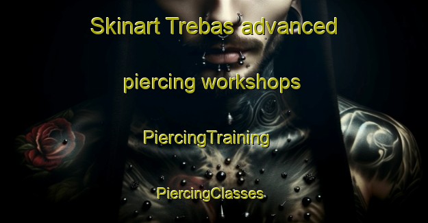 Skinart Trebas advanced piercing workshops | PiercingTraining | PiercingClasses | SkinartTraining-France