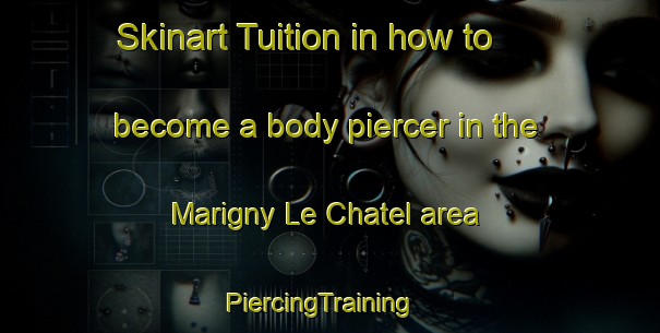 Skinart Tuition in how to become a body piercer in the Marigny Le Chatel area | PiercingTraining | PiercingClasses | SkinartTraining-France