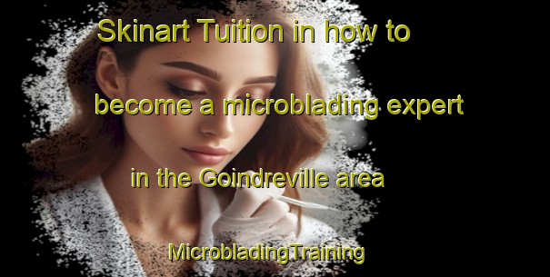 Skinart Tuition in how to become a microblading expert in the Goindreville area | MicrobladingTraining | MicrobladingClasses | SkinartTraining-France