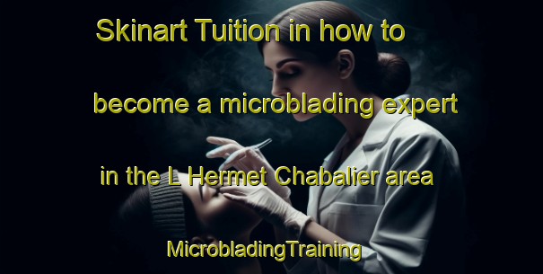 Skinart Tuition in how to become a microblading expert in the L Hermet Chabalier area | MicrobladingTraining | MicrobladingClasses | SkinartTraining-France