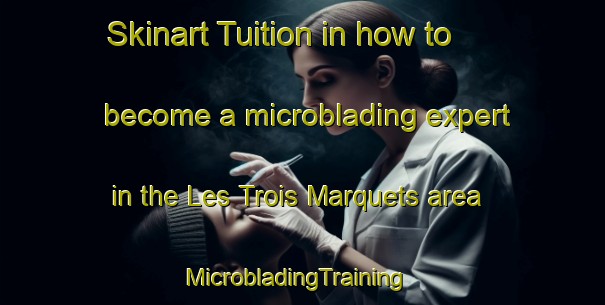 Skinart Tuition in how to become a microblading expert in the Les Trois Marquets area | MicrobladingTraining | MicrobladingClasses | SkinartTraining-France